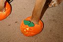 IMG_4053
